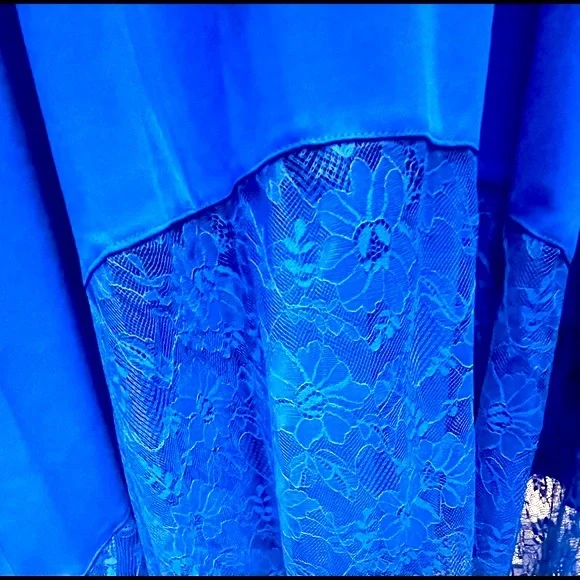 Royal Blue Sleeveless Lace Dress - Picture 6 of 9